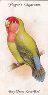 29 Rosey Or Peach Faced Lovebird - Aviary & Cage Birds -1933 - Players Original Cigarette Card. - Player's