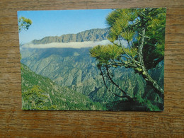 Espagne , La Palma , Vista Parcial De La " Caldera De Taburiente " - La Palma