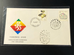 China Stamp PRC Stamp First Day Cover - China Stamp Exhibition In Singapore 1987 - Storia Postale