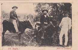 POSTCARD  PORTUGAL - AFRICA - OLD PORTUGUESE COLONY  - ANGOLA  - MEIOS DE TRANSPORTE - Angola