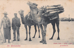 POSTCARD  PORTUGAL - AFRICA - OLD PORTUGUESE COLONY  - ANGOLA  - MOSSAMEDES - DROMEDARIOS - CAMELS - Angola