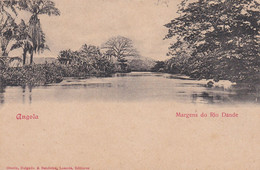 POSTCARD  PORTUGAL - AFRICA - OLD PORTUGUESE COLONY  - ANGOLA  - MARGENS DO RIO DANDE - Angola