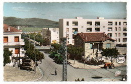 Algérie / GUELMA  -- Avenue Sadi Carnot ( Enseigne ESSO ). - Guelma