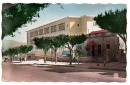 Algérie / GUELMA  -- Ecole Anatole France. - Guelma