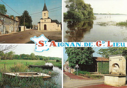 44 - Saint Aignan De Grand Lieu : Multivues - CPM écrite - Autres & Non Classés