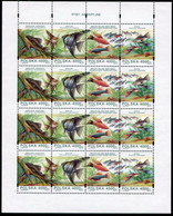 POLAND 1994 Aquarium Fish Sheet MNH / **  Michel 3505-08 - Unused Stamps