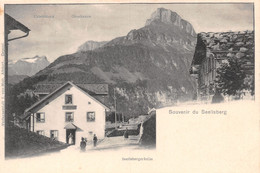 Souvenir Du Seelisberg - Seelisberg Kulm - Uristock Oberbauen - Seelisberg