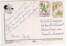 Beaux Timbres , Stamps " Arbres , Fleurs " Sur Cp , Carte , Postcard Du 14/03/1996 - St.Lucie (1979-...)