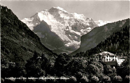 Delcampe - Interlaken - Die Jungfrau Vom Höheweg Aus Gesehen (8375) - Interlaken