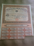 COLOMBIA - SOCIETE FRANCO ROUMAINE DE PETROLE - ACTION DE 500 LEI - N° 165 733 - EMISSION DE 1933 - 15 COUPONS - Erdöl