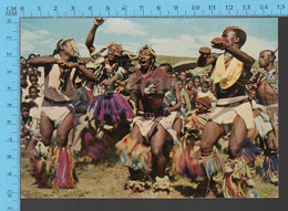 CPM, LESOTHO, South Africa - Dancing The Mohobelo, Animated - Lesotho