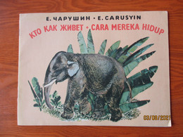 RARE! RUSSIA USSR INDONESIA ELEPHANT TIGER LION CAMEL BEAR WOLF CHILDRENS BOOK 1976  ,0 - Giovani