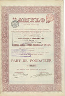 Titre Ancien - Amylo - Société Anonyme  - Titre De 1898 - - Other & Unclassified