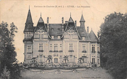 EURE ET LOIR  28  LEVES - LES BOISSIERES - Lèves