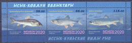 2020. Kyrgyzstan, Fauna Of Kyrgyzstan, Fishes, S/s Perforated, Mint/** - Kirgisistan