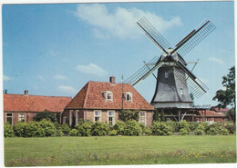 Ommen - Molen Met Oudheidskamer - (Overijssel / Nederland) L 1076 - (Moulin à Vent, Mühle, Windmill, Windmolen) - Ommen