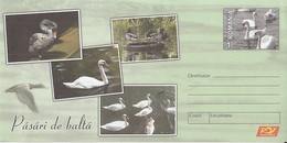 ANIMALS, BIRDS, WATER BIRDS, SWANS, DUCKS, COVER STATIONERY, 2015, ROMANIA - Cygnes