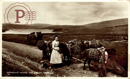 RPPC CARTE PHOTO   Unst Bringing Home The Peats  SHETLAND PONY PONIES - Shetland