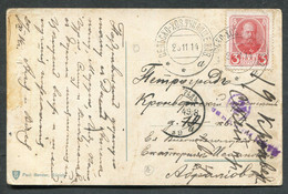 01104 Cancel AUX. PO "Agricultural School Kazan Gub." 1914 Postcard CENSOR Seal To Petrograd Pmk - Brieven En Documenten