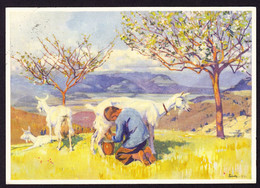 1928 Mit Juventute Gelaufene AK, Blick Ins Rheintal, Gemälde C. Liner. Kleiner Fleck - Covers & Documents