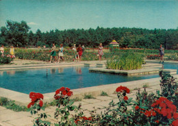 Minsk  Dans Le Jardin Des Plantes - Belarus