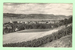 S639 - SUISSE - STAFA - Foto Oetiker - Stäfa