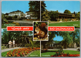 Nidda Bad Salzhausen - Mehrbildkarte 23   Mit Eichhörnchen - Wetterau - Kreis