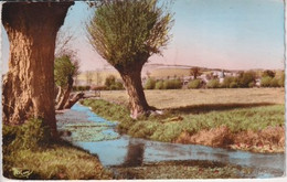 LONDINIERES(ARBRE) - Londinières