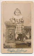 Photographie Ancienne XIXe CDV Portrait D'une Fillette Photographe Galais Cholet - Oud (voor 1900)