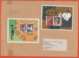 GIAPPONE - NIPPON - JAPAN - JAPON - 2005 - 2 BF - Air Mail - Medium Envelope - Viaggiata Da Toyohira Per Bruxelles, Belg - Briefe U. Dokumente