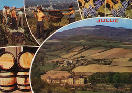 Real Photo Jullié Chateau De La Roche Vue Aerienne Beaujolais  Vendanges Vin Raisin - Julienas