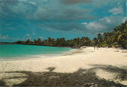 CPSM Comores-Grande Colore-Plage De Malouja    L812 - Comores