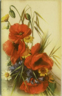 CHIOSTRI SIGNED 1920s/30s POSTCARD - FIORI DI CAMPO -  EDIT BALLERINI & FRATINI - N. 9017 (1765) - Chiostri, Carlo