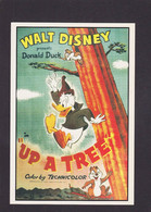 CPM Disney Walt Non Circulé Donald Duck édition HS Crocker Classico San Francisco écureuil - Autres & Non Classés