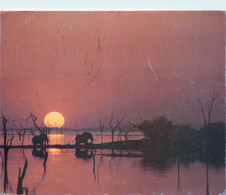 CPSM Zimbabwe-Elephant Silhouettes Against The Setting Sun On Lake Kariba-Beau Timbre    L819 - Zimbabwe