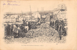 CPA 35 CANCALE LE TRIAGE DES HUITRES A CANCALE - Cancale