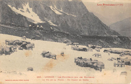 CPA 31 LUCHON LES TROUPEAUX SUR LES HAUTEURS DU PIC DE LA PIQUE UN CHAMP DE NEIGE - Luchon