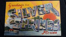 CPA GREETINGS FROM SYLVER SPRINGS FLORIDA    LETTRES  ED C T ART COLORTONE  USA 1947 - Silver Springs