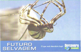 Discovery Channel Advertising Card, Spider - Insekten