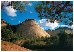 CPSM Zion National Park    L820 - Zion