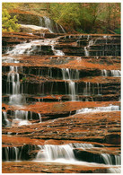 CPSM Zion National Park    L820 - Zion