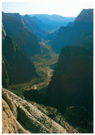 CPSM Zion National Park    L820 - Zion