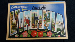 CPA GREETINGS FROM NORFOLK VIRGINIA ED CT ART COLORTONE  LETTRES USA - Norfolk