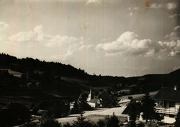 LES-HOPITAUX-NEUFS (Doubs)  Alt. 1000m - Pontarlier