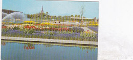 Springfields, Spalding -  Unused Postcard - Lincolnshire - M&B National Series - Lincoln