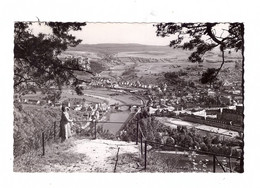 5521 ECHTERNACHERBRÜCK, Blick Auf Die Grenzregion, Rücks. Kl. Klebereste - Bitburg