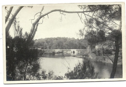 ARRADON  - CARTE PHOTO -  Pont Du Vincin - Archive J. LE GUEN Photographe - Arradon