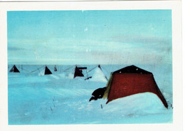 Chromo Côte D'Or Antarctic Antarctique Photo 63 Le Camp De L'équipe De Construction Het Kamp Van De Bouwploeg - Côte D'Or