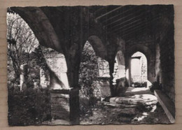 CPSM 84 - OPPEDE-LE-VIEUX - La Galerie Du Chapître - TB PLAN EDIFICE Château - Jolie Photographie Noir Et Blanc - Oppede Le Vieux