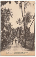 CPA - CEYLAN - COLOMBO - Allée De Cocotiers - Sri Lanka (Ceylon)